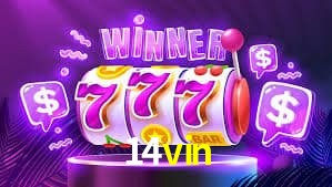 Experiência VIP 14vin