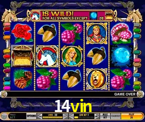 Descubra a Essência do 14vin: Nossa História e Compromissos