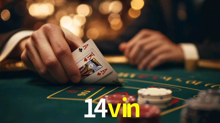 Plataforma Online 14vin